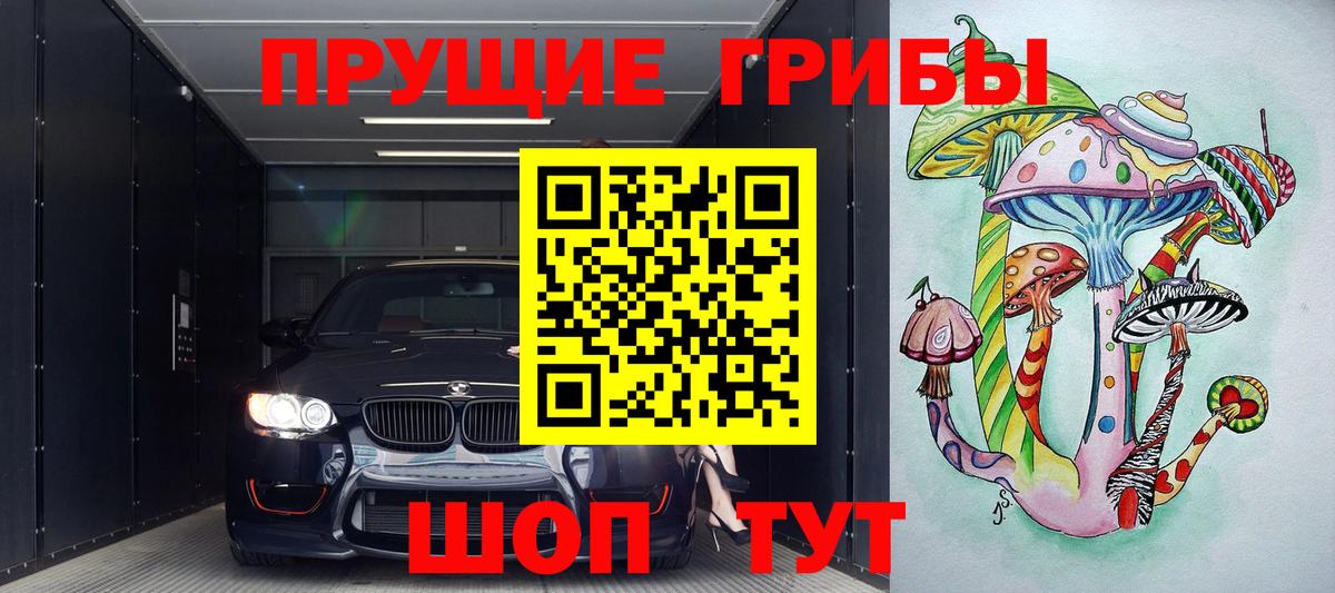 Брянск  Галлюциногенные грибы прущие грибы  Вход с VPN  Псилоцибиновые грибы мицелий 