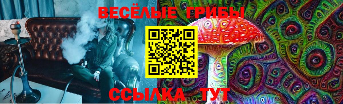 Псилоцибиновые грибы GOLDEN TEACHER Брянск